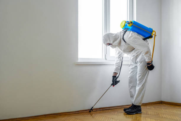 Best Pest Control for Hotels  in Luck, WI